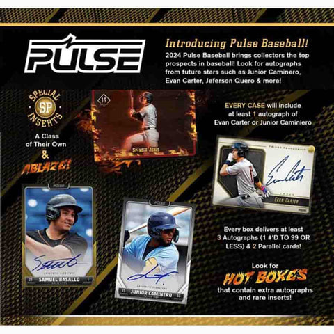2024 Pulse Baseball Hobby Box