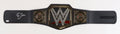 Ric Flair Signed WWE Championship Belt - JSA - Blogs Hobby Shop